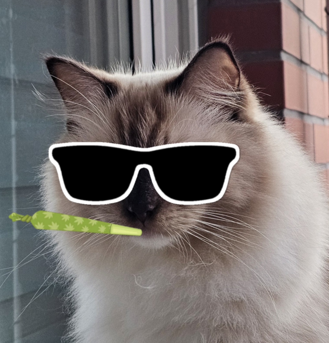 Beschreibung des Bildes